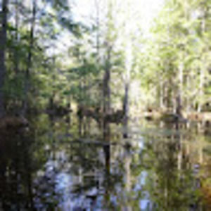 Meet your Posher, Carly